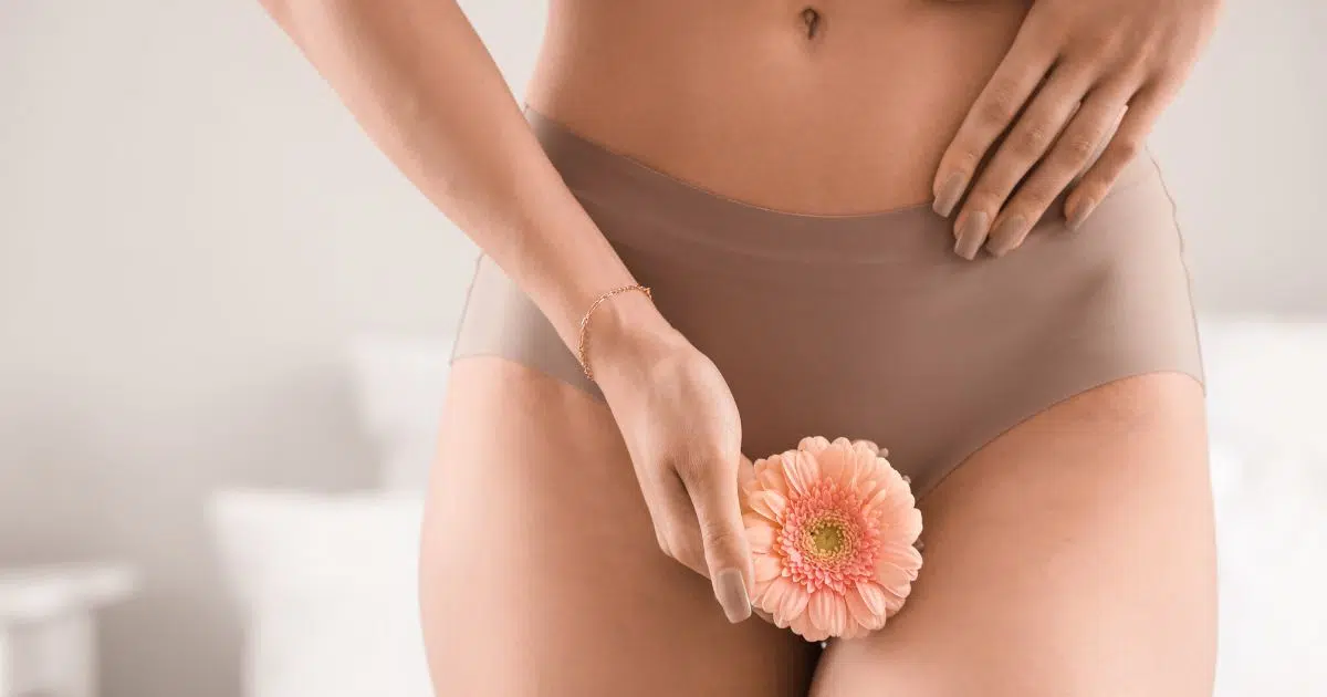 woman holding a flower in front of her lower abdomen with brown underwear.