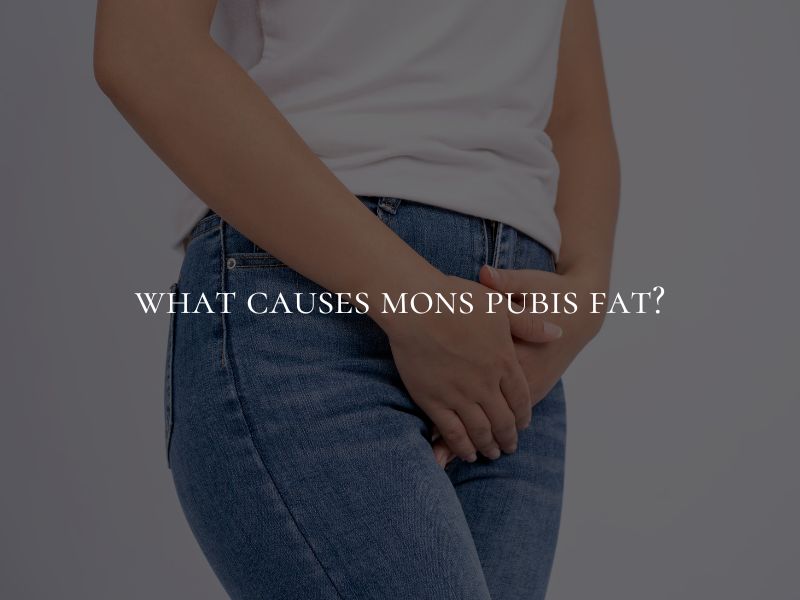 What Causes Mons Pubis Fat?